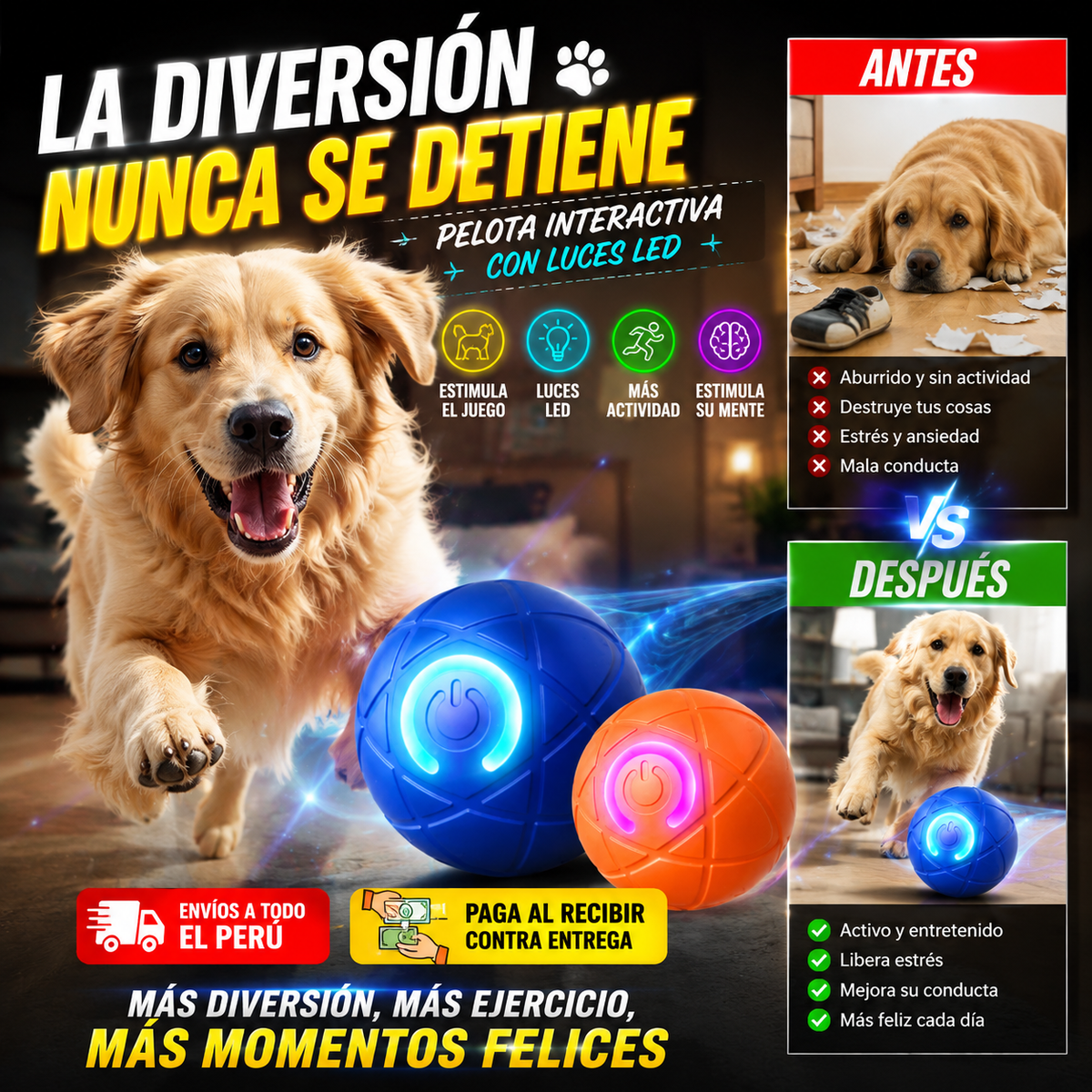 Pelota interactiva - TU PERRITO TAMBIÉN MERECE DIVERTIRSE