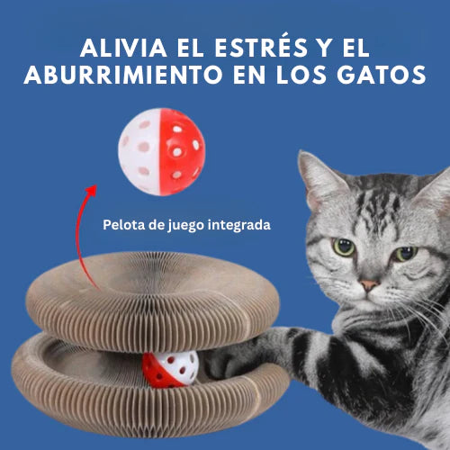 Cocogato 🐱 salva tus muebles de la destrucción⬇︎😲2X1😲⬆︎