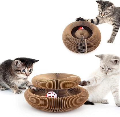 Cocogato 🐱 salva tus muebles de la destrucción⬇︎😲2X1😲⬆︎