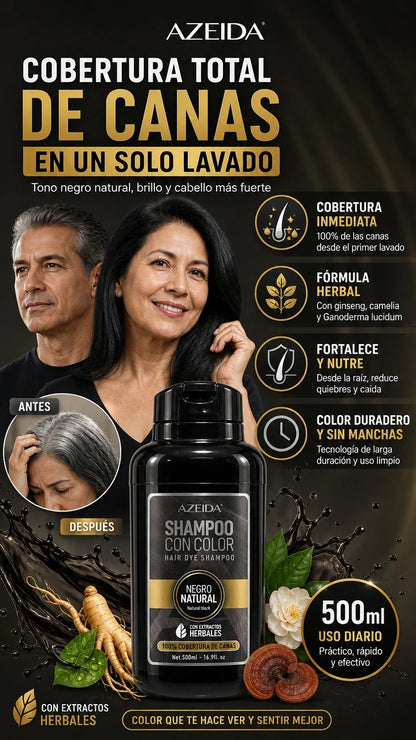 Champú Natural con Ingredientes Herbales para Pintar el Cabello- NEGRO 500ML